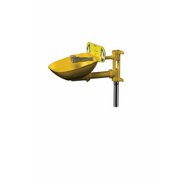 Safety Eye/Face Wash, Wall Mount - Model S19224EW